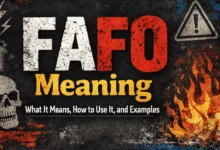 What Does FAFO Mean