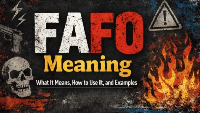 What Does FAFO Mean