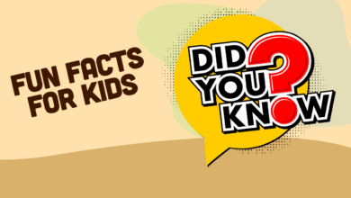Fun Facts